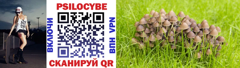 Галлюциногенные грибы Psilocybine cubensis Дюртюли